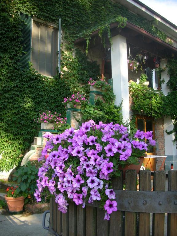 Cascina Beneficio Villa Castelnuovo Bormida Exterior photo